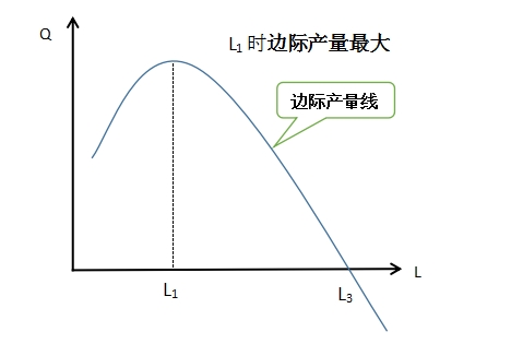 2024年中级经济师经济基础知识讲义：边际产量线