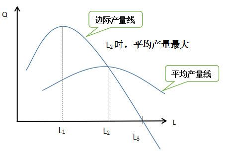2024年中级经济师经济基础知识讲义：平均产量线