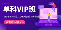 单科VIP班