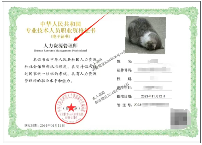 2025年初、中级经济师电子与纸质证书什么时候领取?人力和知识产权证书为啥不同?